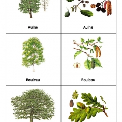 aperçu